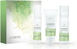 Парфумерія, косметика Набір - Wella Professionals Elements Kit (h/spray/150ml + h/cond/200ml + h/shampoo/250ml)