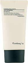 Парфумерія, косметика Заспокійливий сонцезахисний крем - Pyunkang Yul Calming Sun Cream SPF 50+ PA++