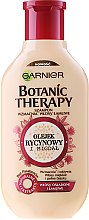 Шампунь для волосся  - Garnier Botanic Therapy Castor Oil And Almond — фото N1
