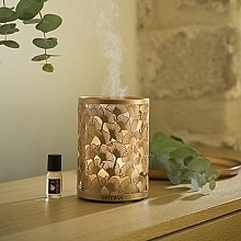 Диффузор - Esteban Perfume Mist Diffuser Light &Copper Edition — фото N2