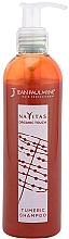 Парфумерія, косметика Шампунь для фарбованого й тонованого волосся - Jean Paul Myne Navitas Organic Touch Shampoo