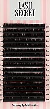 Парфумерія, косметика Накладні вії, чорні, 16 ліній (один розмір, 0,05, D, 9) - Lash Secret