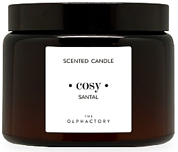 Ароматическая свеча в банке - Ambientair The Olphactory Santal Scented Candle — фото N2