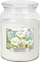 Ароматическая премиум-свеча в банке "Цветущий жасмин" - Bispol Premium Line Scented Candle Blooming Jasmine — фото N2