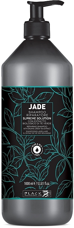 Ламелярний шампунь - Black Professional Line Black Jade Supreme Solution Shampoo — фото N2