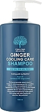 Зміцнювальний шампунь з аргановою олією і охолодним ефектом - Char Char Argan Oil Ginger Cooling Care Shampoo — фото N1