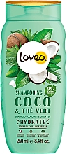 Парфумерія, косметика Шампунь для волосся "Кокос і зелений чай" - Lovea Shampoo Coconut & Green Tea