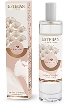 Esteban Iris Cachemire Home Fragrance Spray - Парфюмированный спрей для дома — фото N1