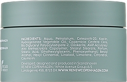 Набор, 4 продукта - Re-New Copenhagen Essential Grooming Kit (Balancing Shampoo №05 + Texture Spray №07 + Molding Clay №04) — фото N6
