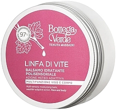 Увлажняющий бальзам для лица и тела - Bottega Verde Linfa Di Vite Face&Body Super Moisturising Balm — фото N1