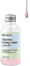 УЦЕНКА Локальное средство от прыщей и красноты - Hollyskin Calamine. Drying Lotion * — фото N2