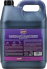 Шампунь для волос - Ronney Professional Anti-Yellow Pigment Silver Power Shampoo — фото N5