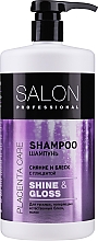 Шампунь для тьмяного волосся - Salon Professional Shine and Gloss — фото N3