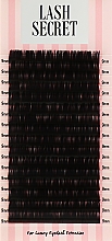 Накладные ресницы, черные, 16 линий (один размер, 0,05, C, 9) - Lash Secret — фото N1