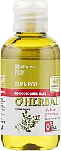Духи, Парфюмерия, косметика Шампунь для окрашенных волос "Сохранения цвета" - O'Herbal