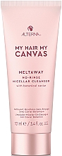 Незмивний міцелярний шампунь з екстрактом рослинної ікри - Alterna My Hair My Canvas Meltaway No-Rinse Micellar Cleanser — фото N1