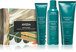 Парфумерія, косметика Набір - Aveda Botanical Repair Set (h/cond/200ml + shampoo/200ml + h/theat/100ml)