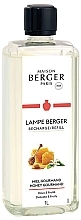 Парфумерія, косметика Рефіл для аромалампи - Maison Berger Honey Gourmand Lampe Recharge Refill