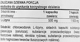 Капсули "L-лізин", 500 мг - Now Foods L-Lysine Capsules — фото N3