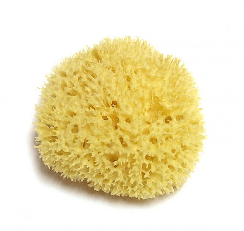 Натуральная морская губка, 15.24 см - Hydrea London Honeycomb Sea Sponge Premium Quality — фото N2