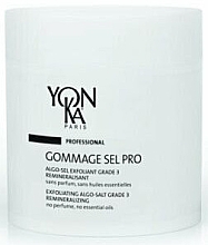Солевой скраб для тела - Yon-Ka Professional Gommage Sel Pro Exfoliatingt Algo-Salt Grade 3 — фото N1