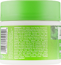 Увлажняющий крем для сухой кожи с маслом семян конопли - Jason Natural Cosmetics Cannabis Sativa Seed Oil Moisturizing Cream — фото N2