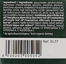 Лосьйон проти лупи і жирного волосся - BiosLine BioKap Dandruff Lotion — фото N3