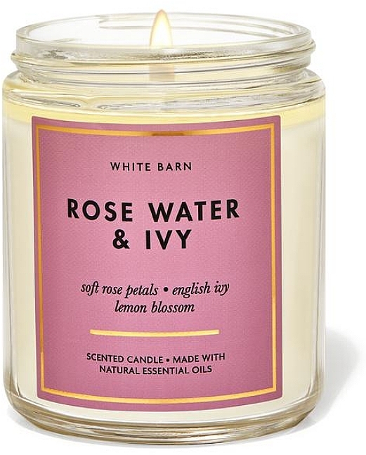 Ароматична свічка - Bath and Body Works Rose Water and Ivy Single Wick Candle — фото N1