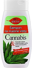 Парфумерія, косметика Шампунь для жирного волосся - Bione Cosmetics Cannabis Shampoo