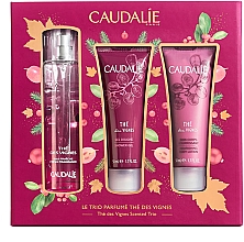 Духи, Парфюмерия, косметика Набор - Caudalie The Des Vignes Scented Trio (edp/50ml + sh/gel/50ml + b/lot/50ml)