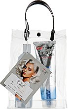 Парфумерія, косметика Набір - CHI Ionic Color Illuminate Silver Blonde (sh/355ml + cond/251ml)