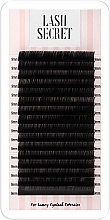 Накладные ресницы, черные, 16 линий (один размер, 0.1, С, 9) - Lash Secret — фото N1