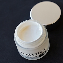 Сонцезахисний крем SPF 15 для обличчя - Vanessium Sun Cream Glow Effect Lift Skin SPF15 — фото N3