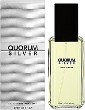 Antonio Puig Quorum Silver - Туалетная вода — фото N2