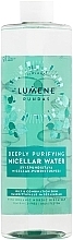 Міцелярна очищувальна вода для глибокого очищення - Lumene Puhdas Deeply Purifying Micellar Water — фото N1