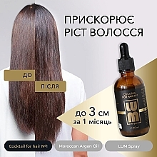 Набор "Полноценный курс восстановления до 3 месяцев" - LUM (oil/50ml + hair/coc/2x50ml + spray/120ml) — фото N7