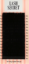 Накладные ресницы, черные, 16 линий (один размер, 0.1, D, 12) - Lash Secret — фото N1