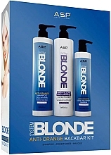 Набор - Affinage System Blonde Anti-Orange Back Bar Kit (shm/1000 ml + cond/1000 ml + mask/500 ml) — фото N1