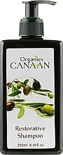 Духи, Парфюмерия, косметика Восстанавливающий шампунь - Canaan Organics Restorative Shampoo