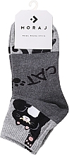 Жіночі короткі бавовняні шкарпетки, розмір 3/4, з малюнком кошеняти, сірі - Moraj — фото N1