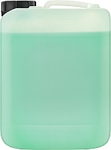 Шампунь зі свіжою м'ятою і ментолом освіжальний - Dott. Solari Science & Welness Fresh Mint Shampoo With Menthol Salon Size — фото N2