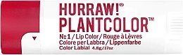 Парфумерія, косметика Бальзам для губ - Hurraw! Plantcolor Lip Balm