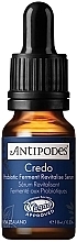 Відновлювальна сироватка для обличчя з пробіотиками - Antipodes Credo Probiotic Ferment Revitalise Serum (міні) — фото N1