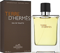 Hermes Terre d'Hermes - Туалетная вода — фото N2
