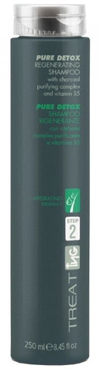 Відновлювальний шампунь для волосся - ING Professional Pure Dotox Regenerating Shampoo — фото N1