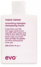 Парфумерія, косметика Розгладжувальний шампунь для волосся - Evo  Mane Tamer Smoothing Shampoo