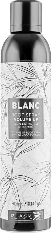Спрей для об'єму волосся - Black Professional Line Blanc Volume Up Root Spray — фото N1
