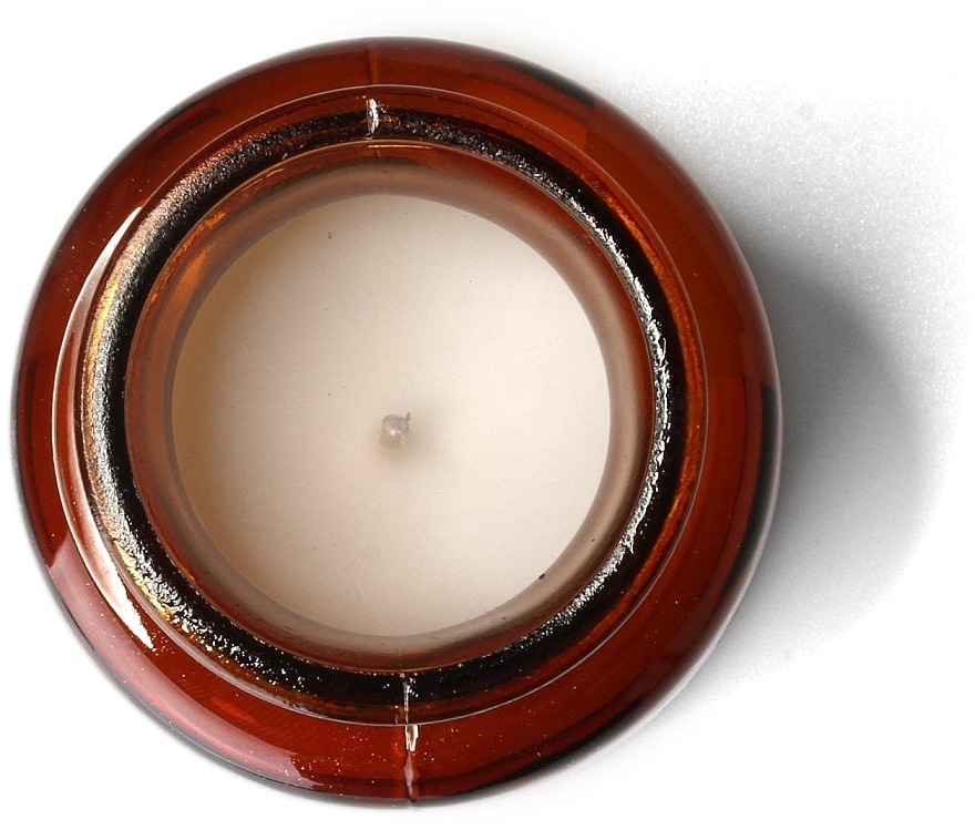 Ароматическая свеча в банке - Paddywax Apothecary Artisan Made Soywax Candle Sea Salt & Sage — фото N2