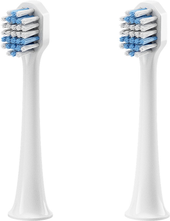 Сменные насадки для зубной щетки GTS2085 - Dr. Mayer RBH285 Vogue Sonic Toothbrush — фото N2