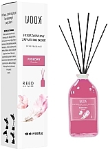 Аромадиффузор "Пудра" - Loris Parfum Woox Reed Diffuser Powder — фото N1